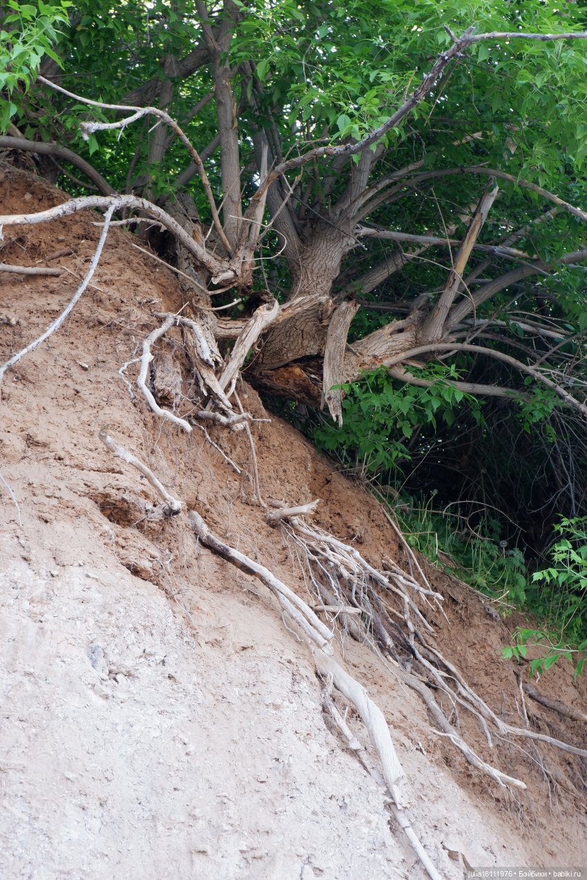 Дом кукол Лавандовый сон. Семейка Барбиобразные. Часть 12. Куклы "Соня Роуз/Курн"