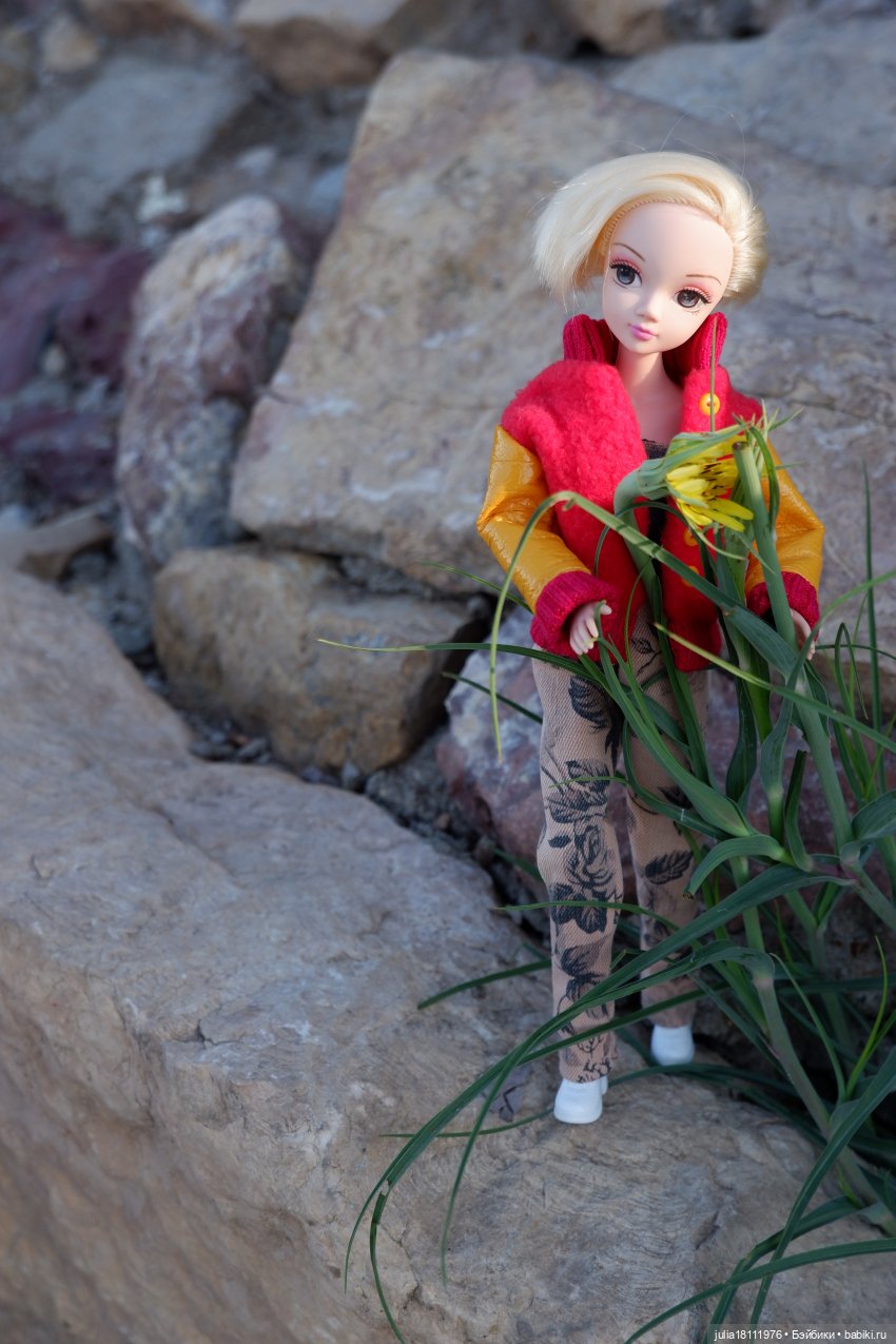 Дом кукол Лавандовый сон. Семейка Барбиобразные. Часть 12. Куклы "Соня Роуз/Курн"