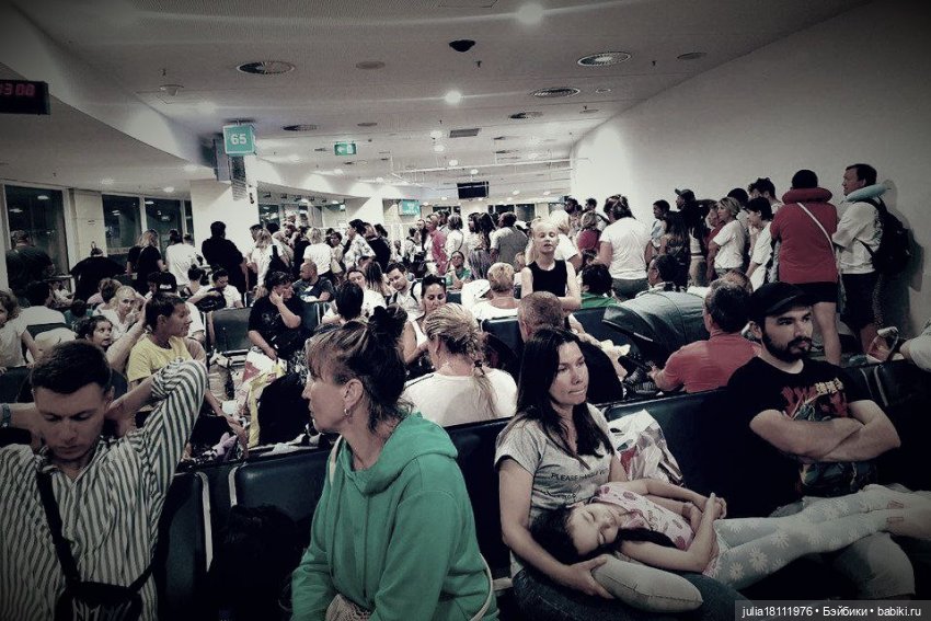 Дом кукол Лавандовый сон. Питер 2025, мы прорвались!👌