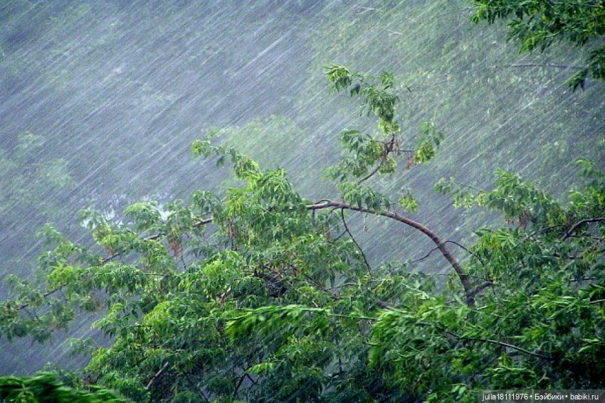 Дом кукол Лавандовый сон. Питер 2025, мы прорвались!👌 (фото 6)