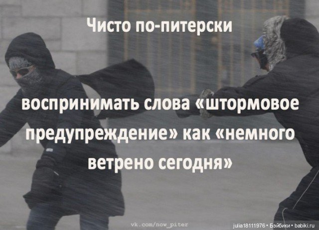 Дом кукол Лавандовый сон. Акварели Петербурга 2025. День первый. Часть 1