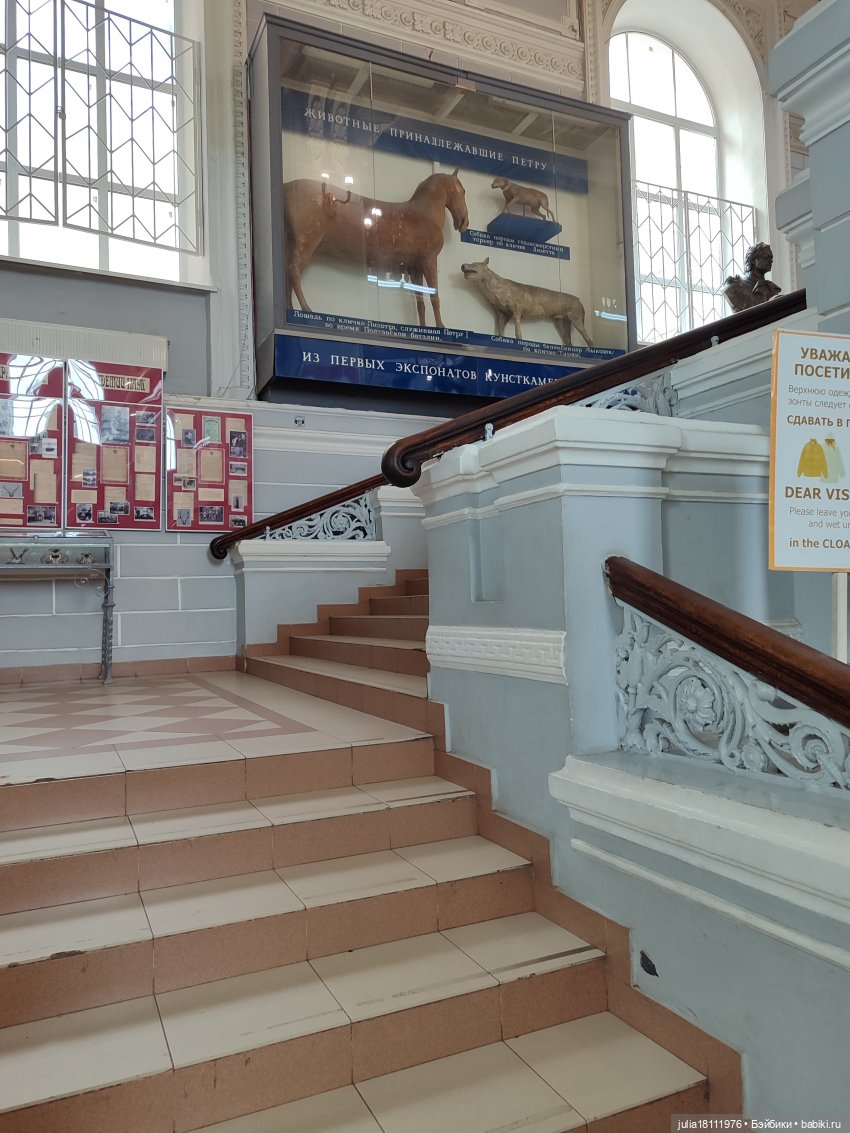 Дом кукол Лавандовый сон. Акварели Петербурга 2025. День 1. Часть 2 (фото 9)