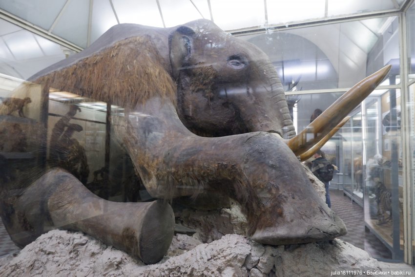 Дом кукол Лавандовый сон. Акварели Петербурга 2025. День 1. Часть 2