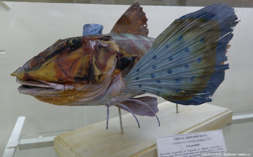 Дом кукол Лавандовый сон. Акварели Петербурга 2025. День 1. Часть 2