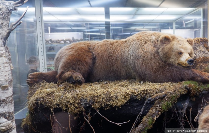 Дом кукол Лавандовый сон. Акварели Петербурга 2025. День 1. Часть 2