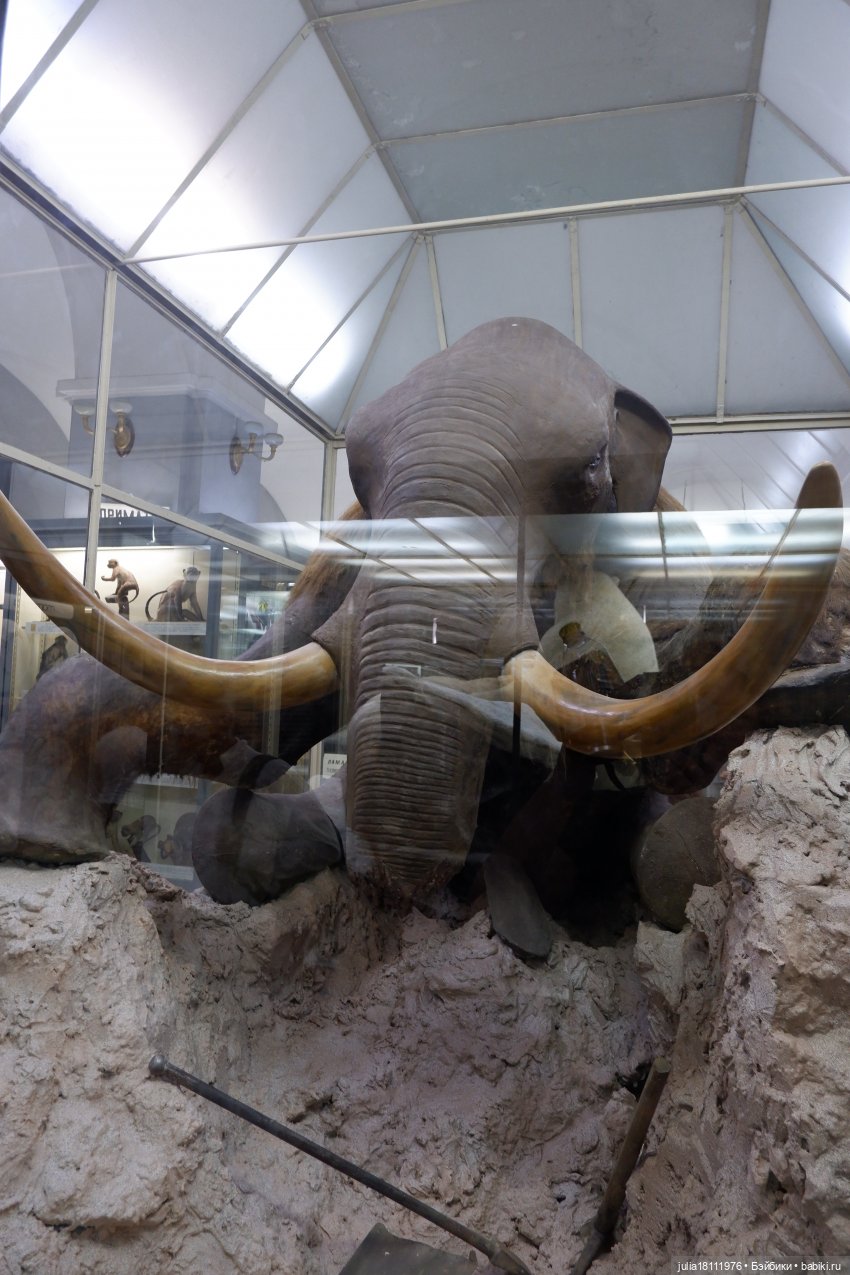 Дом кукол Лавандовый сон. Акварели Петербурга 2025. День 1. Часть 2