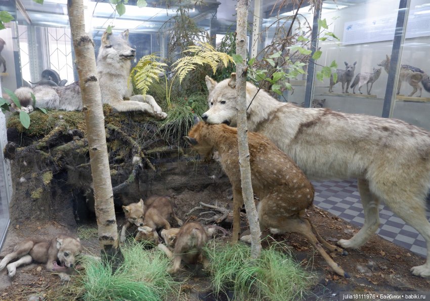 Дом кукол Лавандовый сон. Акварели Петербурга 2025. День 1. Часть 2