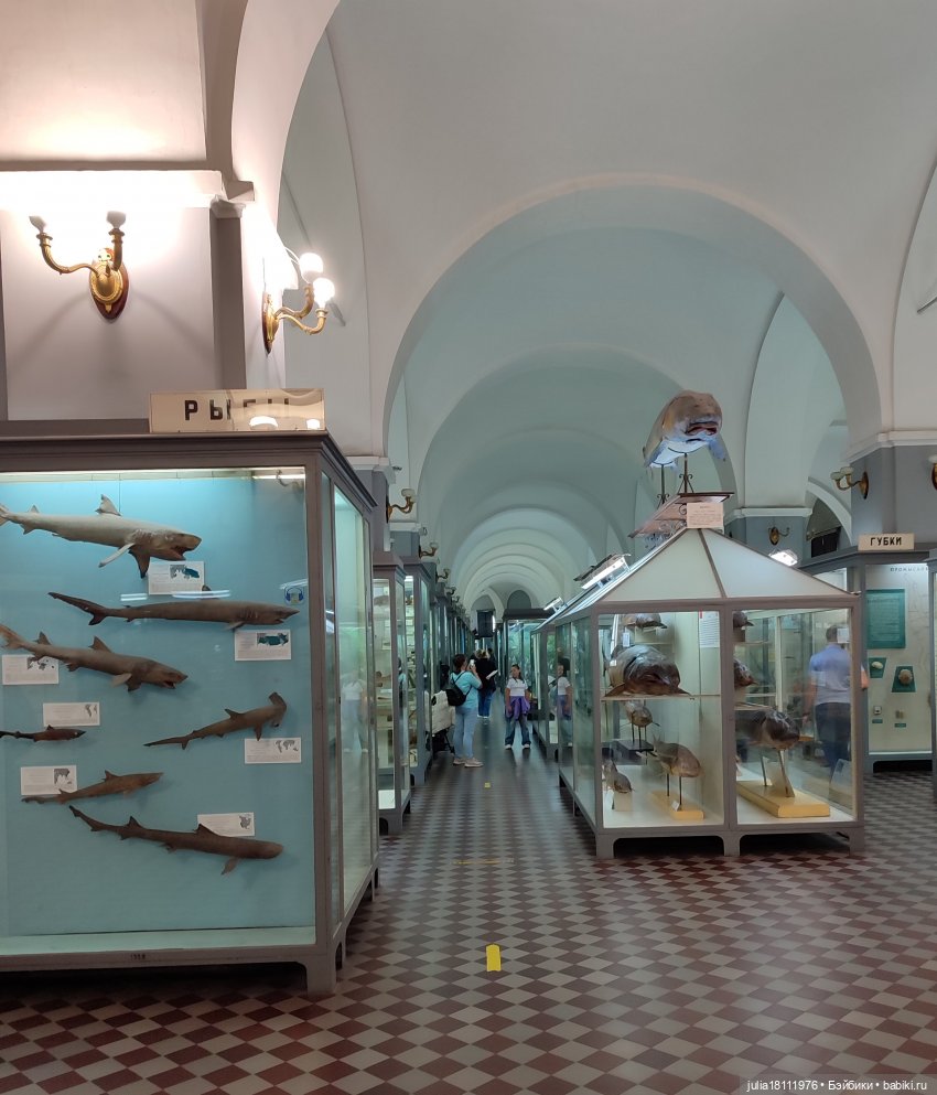 Дом кукол Лавандовый сон. Акварели Петербурга 2025. День 1. Часть 2