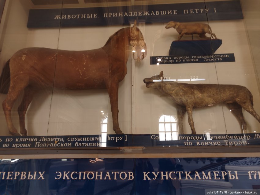 Дом кукол Лавандовый сон. Акварели Петербурга 2025. День 1. Часть 2 (фото 10)