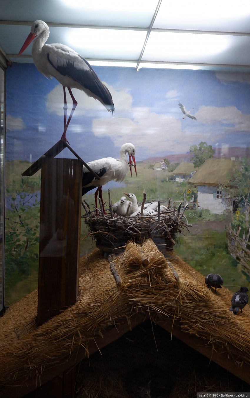 Дом кукол Лавандовый сон. Акварели Петербурга 2025. День 1. Часть 2