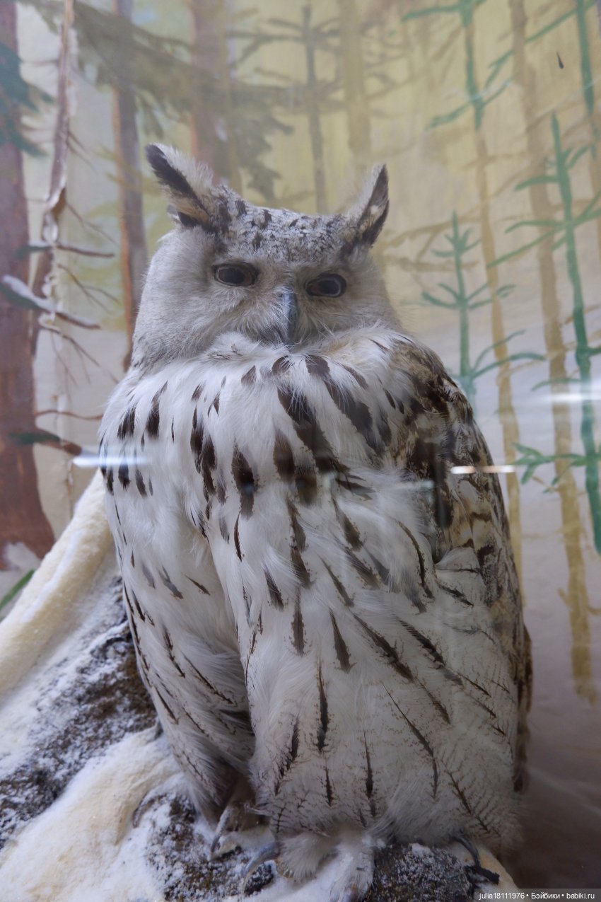 Дом кукол Лавандовый сон. Акварели Петербурга 2025. День 1. Часть 2