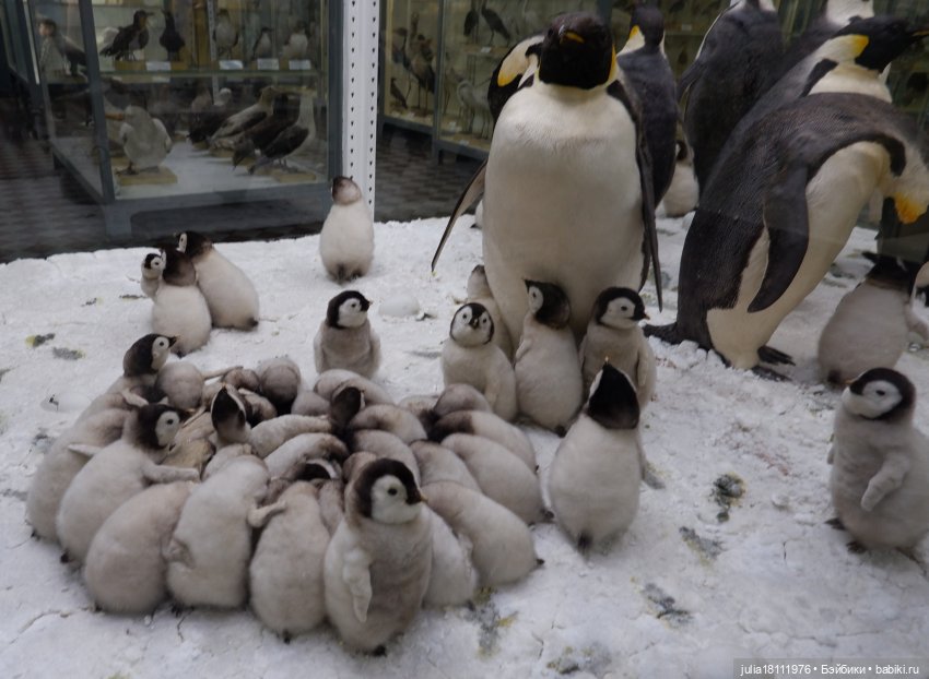 Дом кукол Лавандовый сон. Акварели Петербурга 2025. День 1. Часть 2