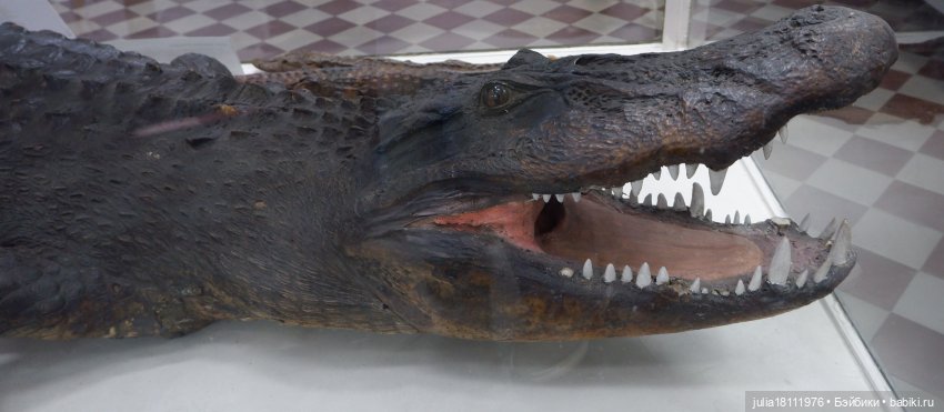 Дом кукол Лавандовый сон. Акварели Петербурга 2025. День 1. Часть 2