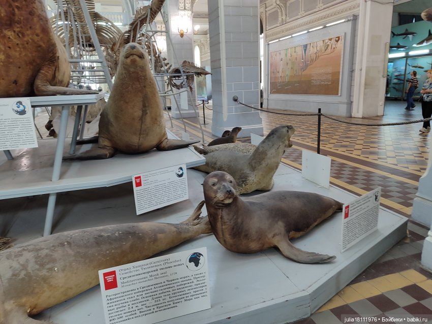 Дом кукол Лавандовый сон. Акварели Петербурга 2025. День 1. Часть 2