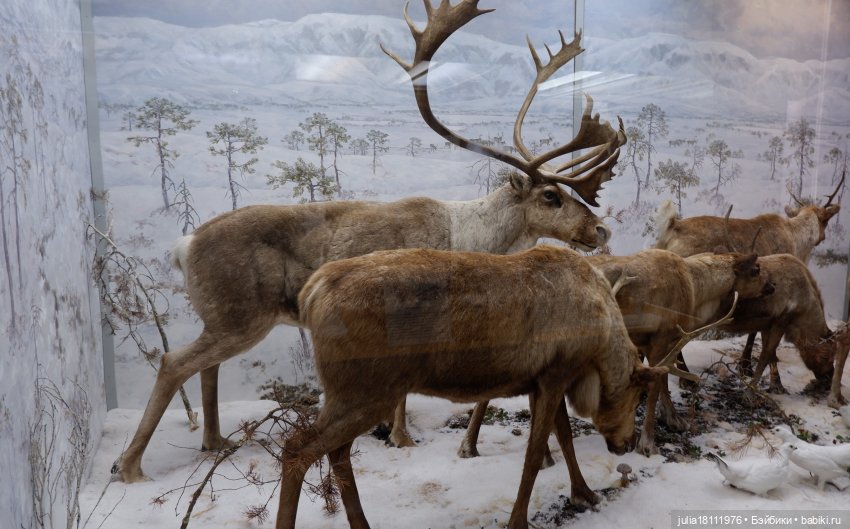Дом кукол Лавандовый сон. Акварели Петербурга 2025. День 1. Часть 2