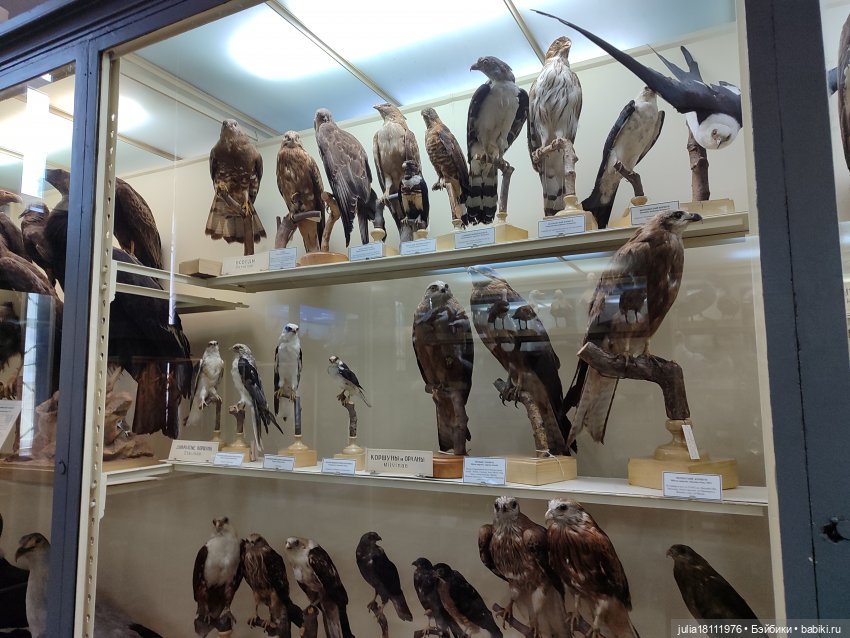 Дом кукол Лавандовый сон. Акварели Петербурга 2025. День 1. Часть 2