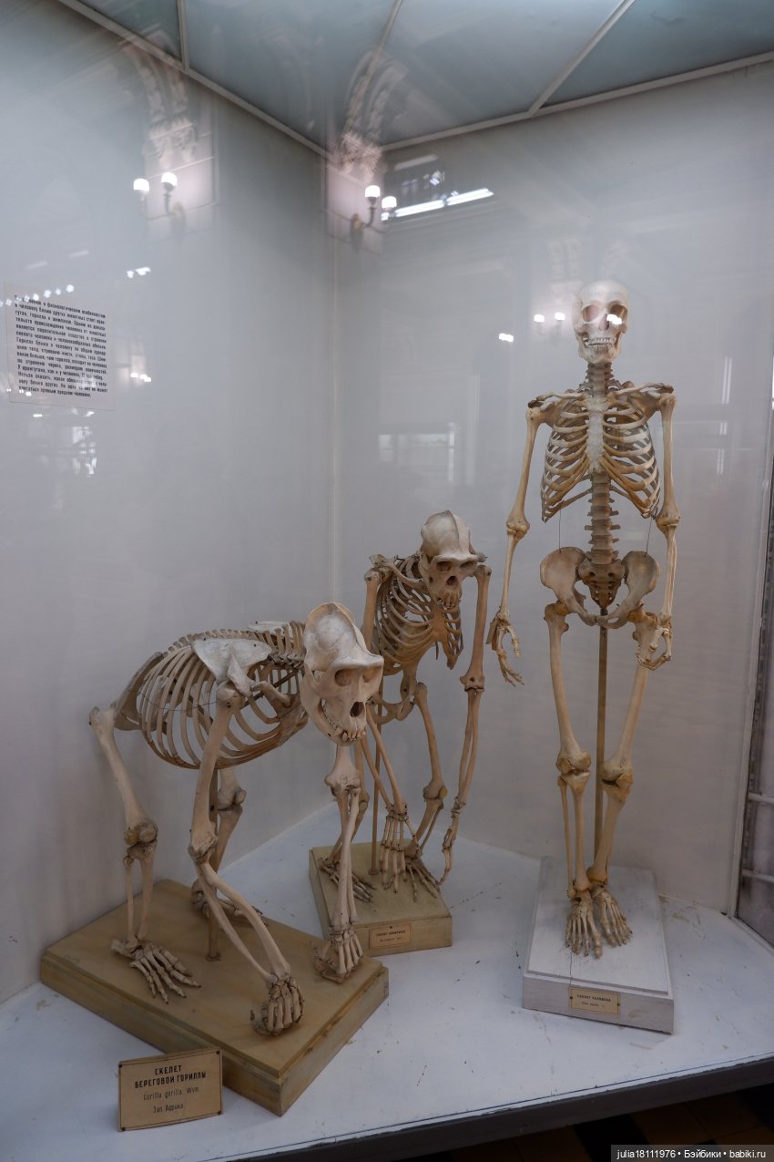 Дом кукол Лавандовый сон. Акварели Петербурга 2025. День 1. Часть 2