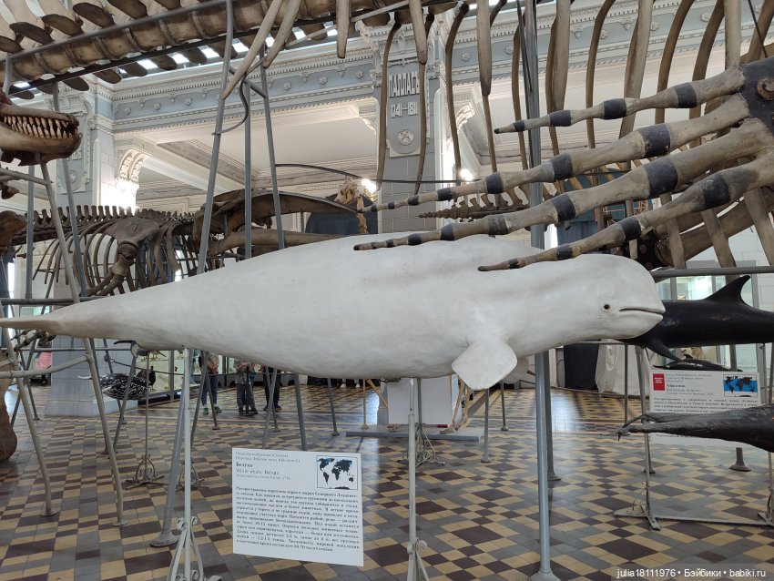 Дом кукол Лавандовый сон. Акварели Петербурга 2025. День 1. Часть 2