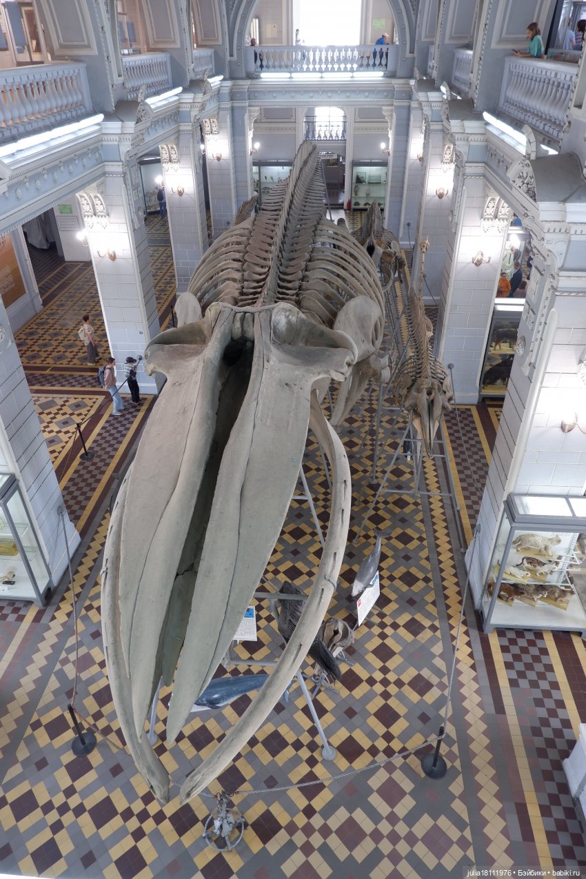 Дом кукол Лавандовый сон. Акварели Петербурга 2025. День 1. Часть 2