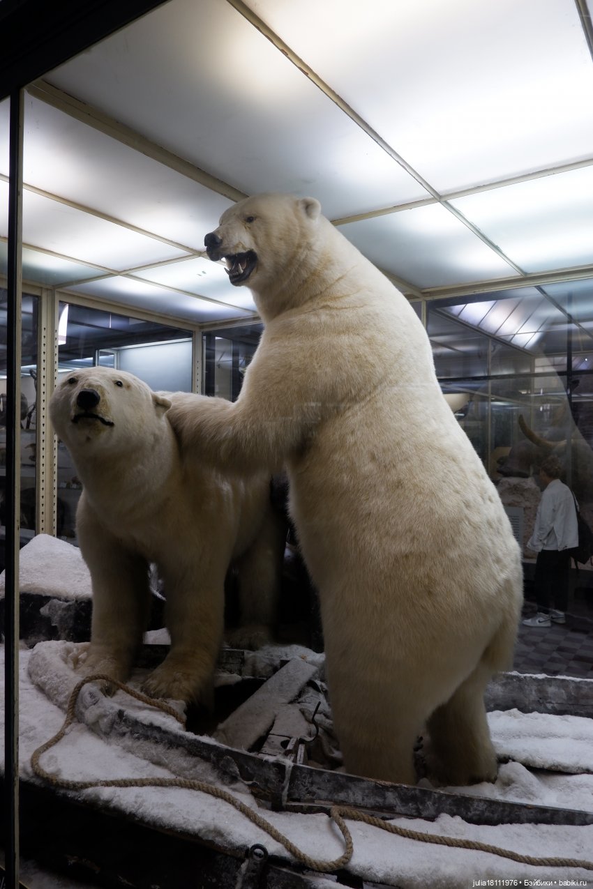 Дом кукол Лавандовый сон. Акварели Петербурга 2025. День 1. Часть 2