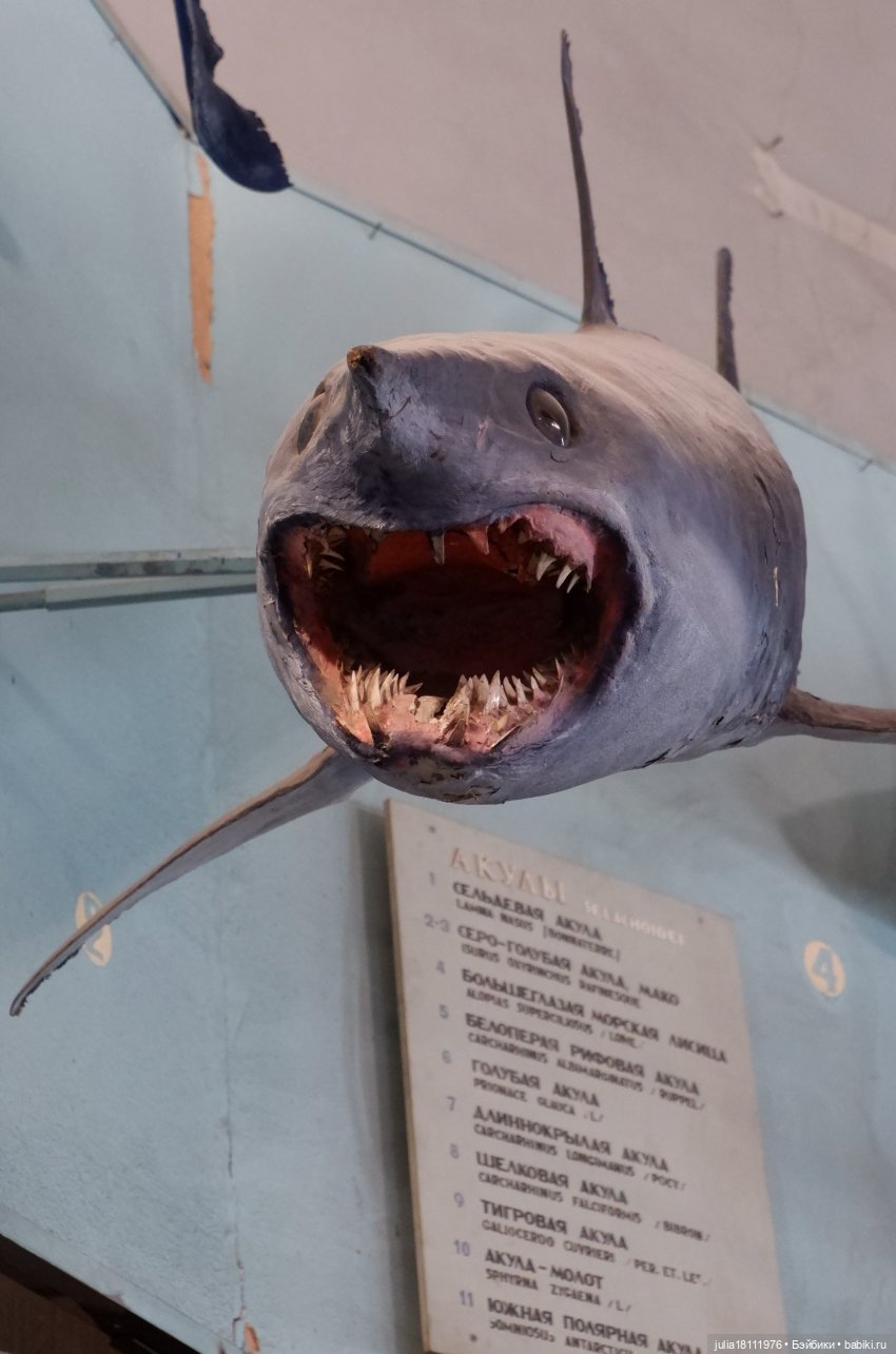 Дом кукол Лавандовый сон. Акварели Петербурга 2025. День 1. Часть 2