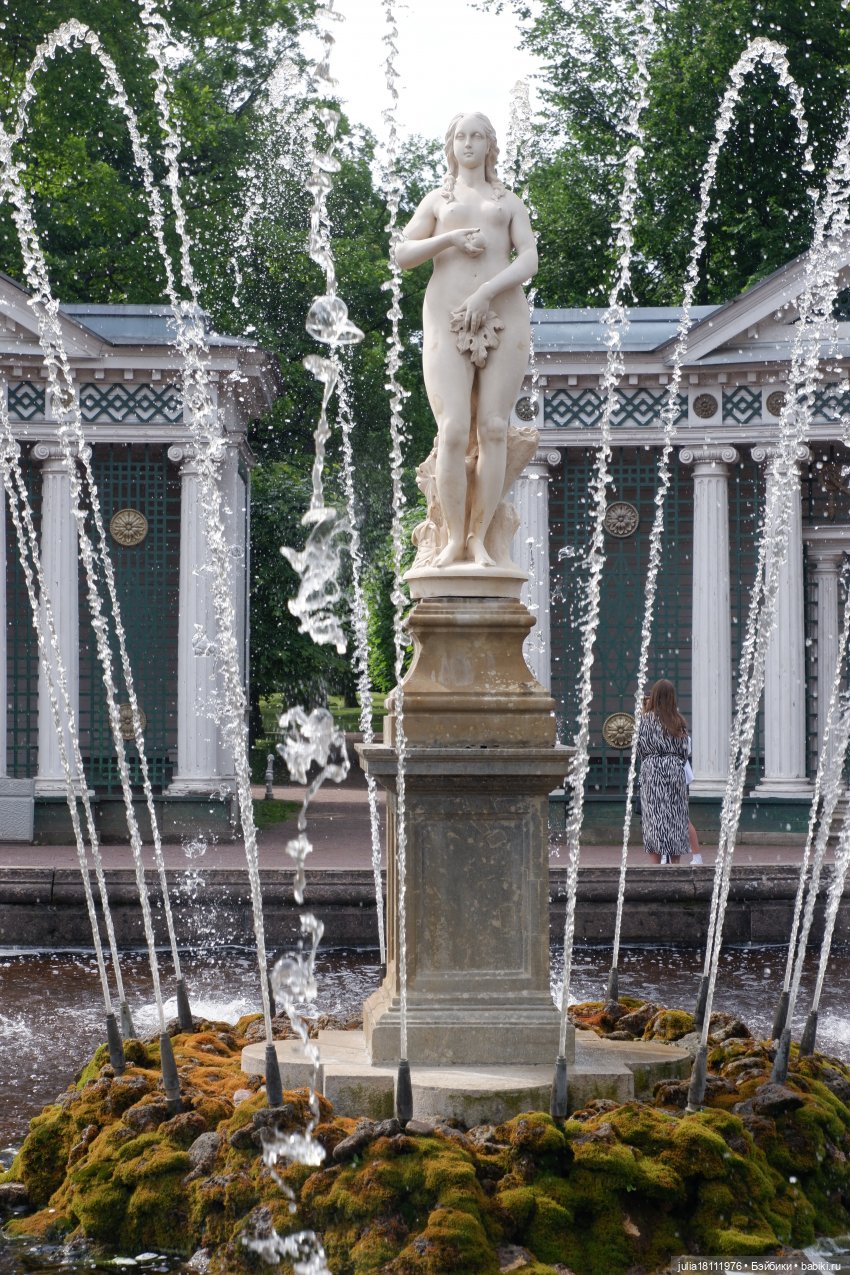 Дом кукол Лавандовый сон. Акварели Петербурга 2025. День 3. Петергоф - любовь моя (фото 7)