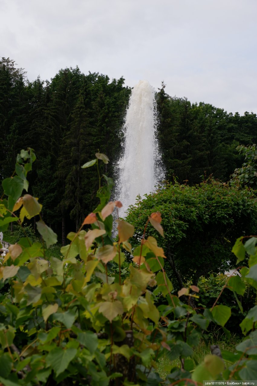 Дом кукол Лавандовый сон. Акварели Петербурга 2025. День 3. Петергоф - любовь моя