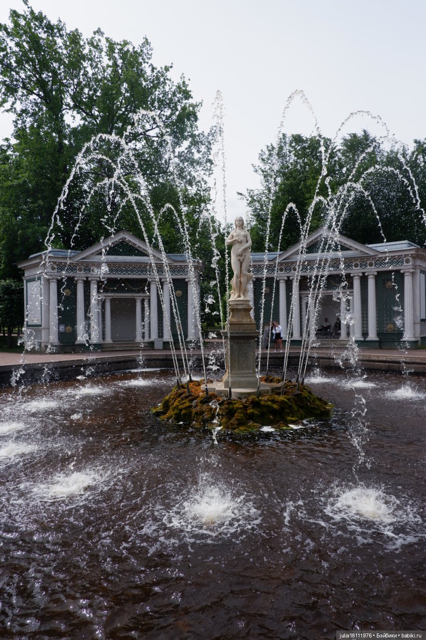 Дом кукол Лавандовый сон. Акварели Петербурга 2025. День 3. Петергоф - любовь моя (фото 6)