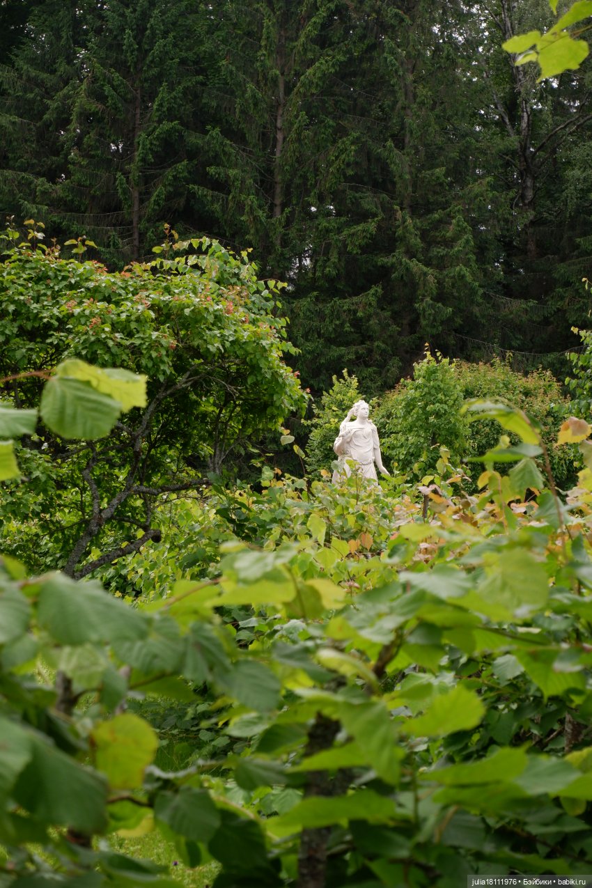 Дом кукол Лавандовый сон. Акварели Петербурга 2025. День 3. Петергоф - любовь моя