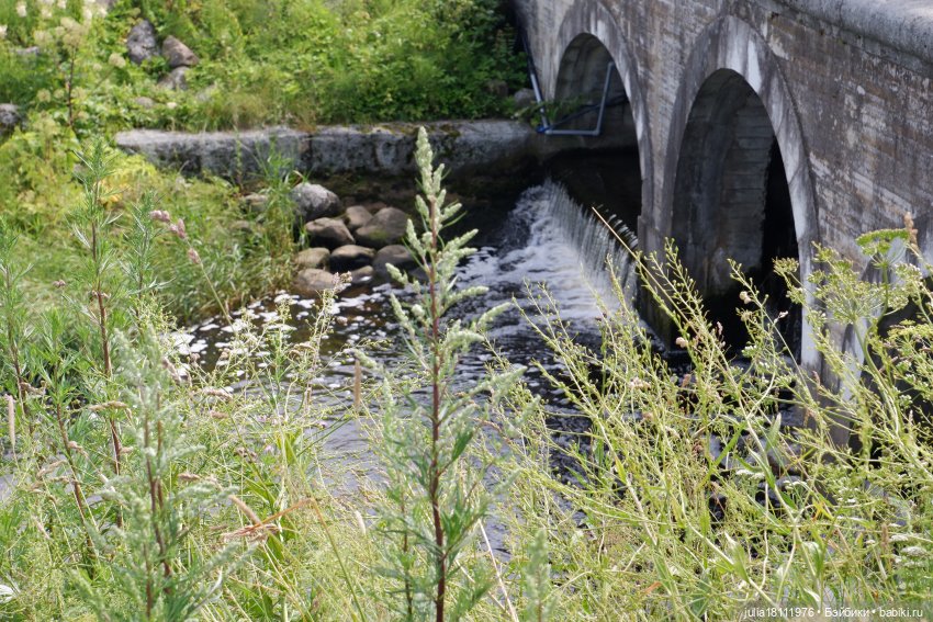 Дом кукол Лавандовый сон. Акварели Петербурга 2025. День 3. Петергоф - любовь моя