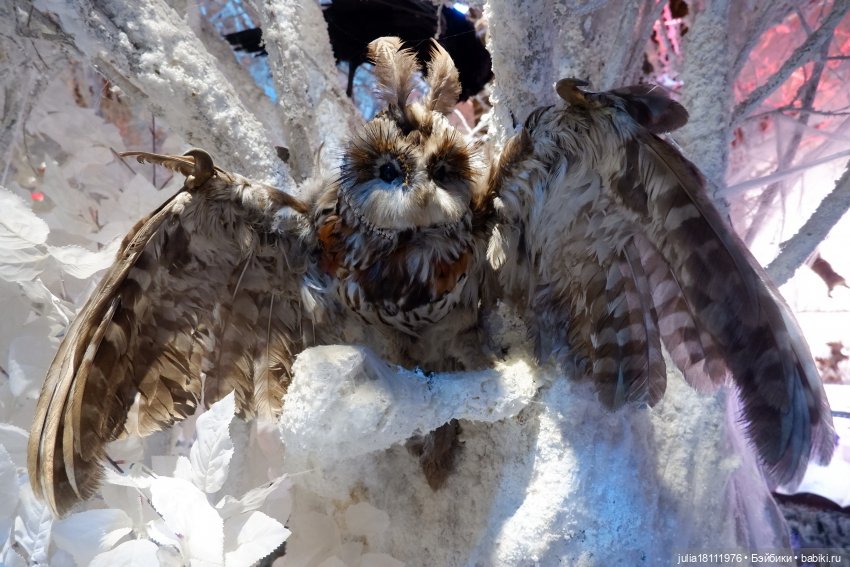 Дом кукол Лавандовый сон. Акварели Петербурга 2025. День 5. Особняк-музей НЕбылица часть 2