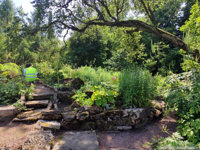 Дом кукол Лавандовый сон. Акварели Петербурга 2025. День 5. Ботанический сад