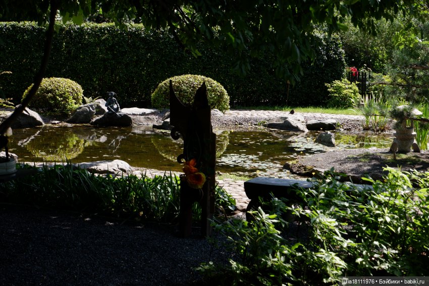 Дом кукол Лавандовый сон. Акварели Петербурга 2025. День 5. Ботанический сад