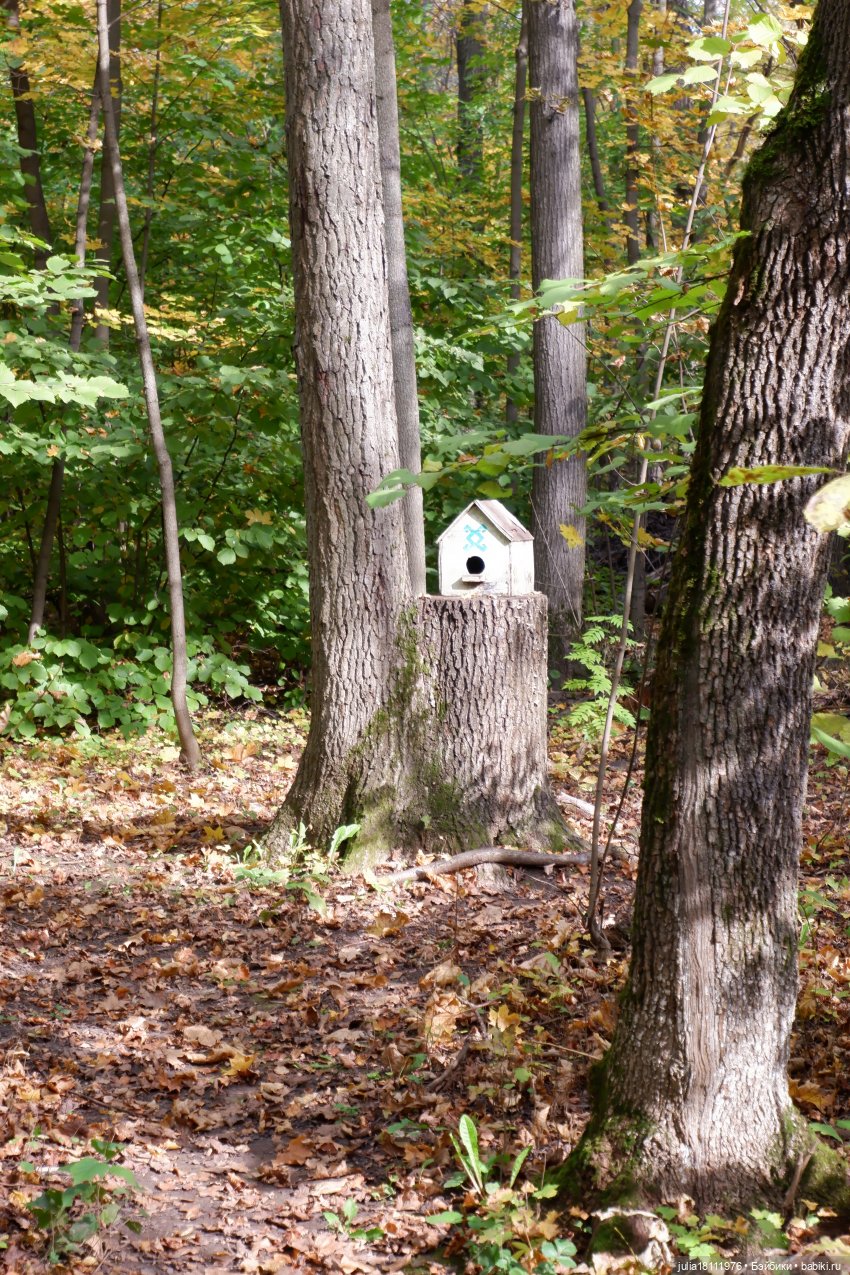 Дом кукол Лавандовый сон. Семейка Мокси. Гуляем коллекцию "Дриады" часть 1 | Бэйбики Дом кукол Лавандовый сон. Семейка Мокси. Гуляем коллекцию "Дриады" часть 1 (фото 9)