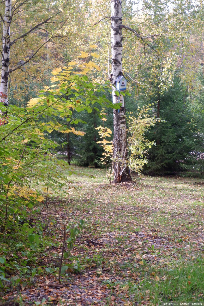 Дом кукол Лавандовый сон. Семейка Мокси. Гуляем коллекцию "Дриады" часть 1 | Бэйбики Дом кукол Лавандовый сон. Семейка Мокси. Гуляем коллекцию "Дриады" часть 1 (фото 10)