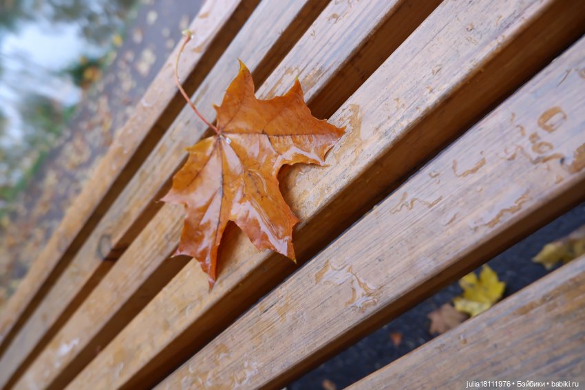 Дом кукол Лавандовый сон. Семейка Мокси. Гуляем коллекцию "Дриады" часть 2