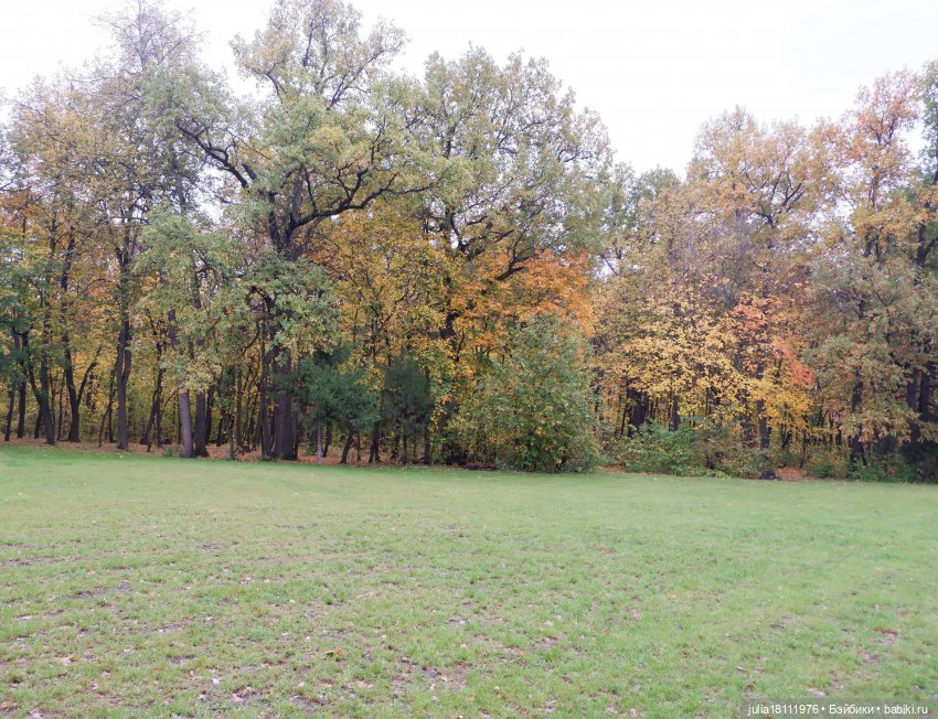 Дом кукол Лавандовый сон. Семейка Мокси. Гуляем коллекцию "Дриады" часть 2