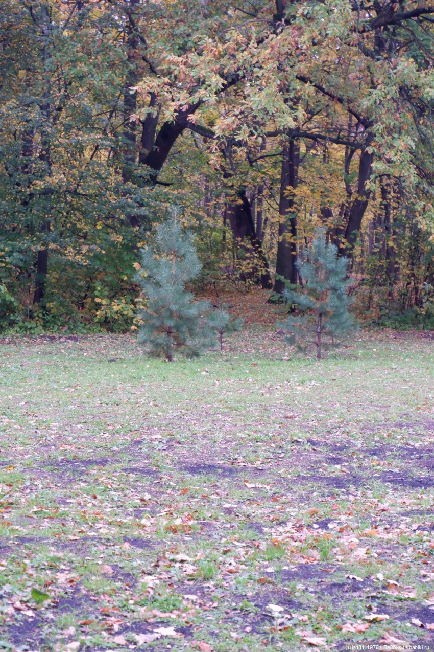 Дом кукол Лавандовый сон. Семейка Мокси. Гуляем коллекцию "Дриады" часть 2