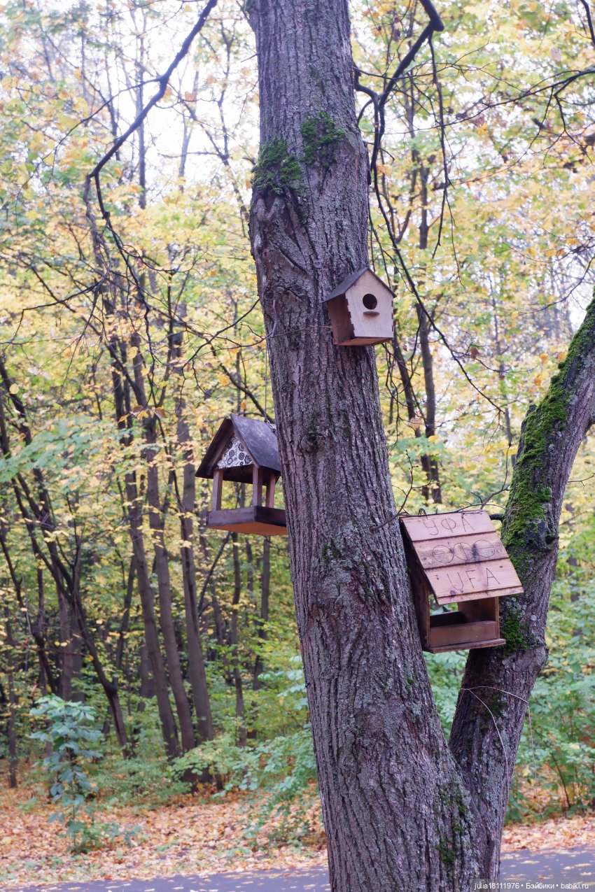 Дом кукол Лавандовый сон. Семейка Мокси. Гуляем коллекцию "Дриады" часть 2