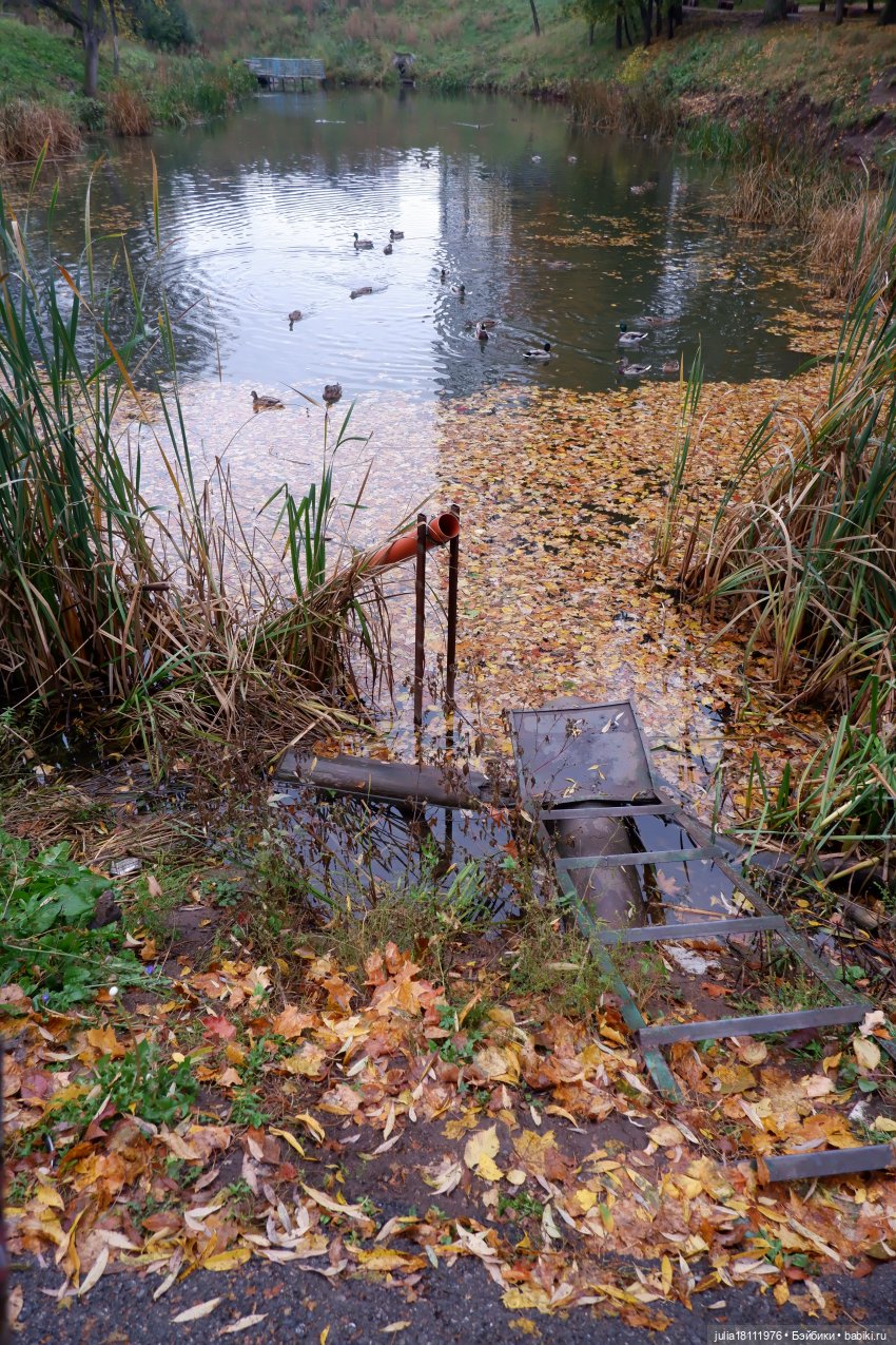 Дом кукол "Лавандовый сон". Семейка Барбиобразные. Часть 15. Анлили. Приплыли (фото 8)
