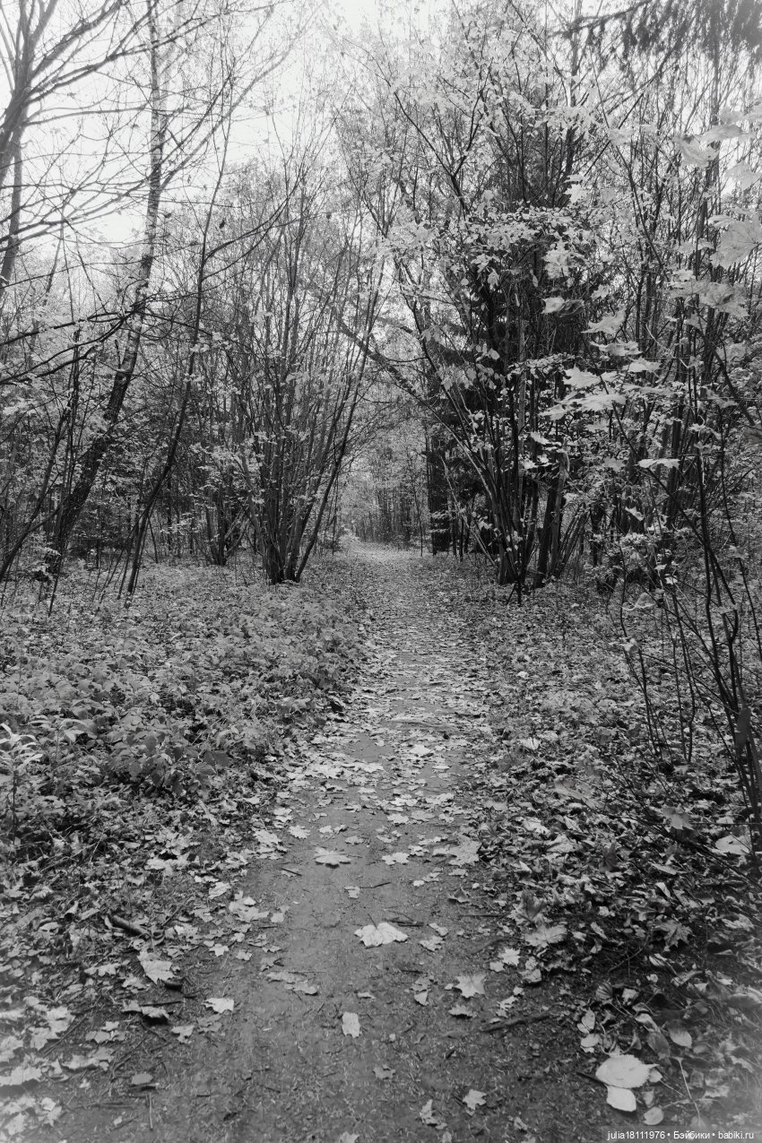 Дом кукол Лавандовый сон. Семейка "Шарнирные разные". "Девочка, которая..."