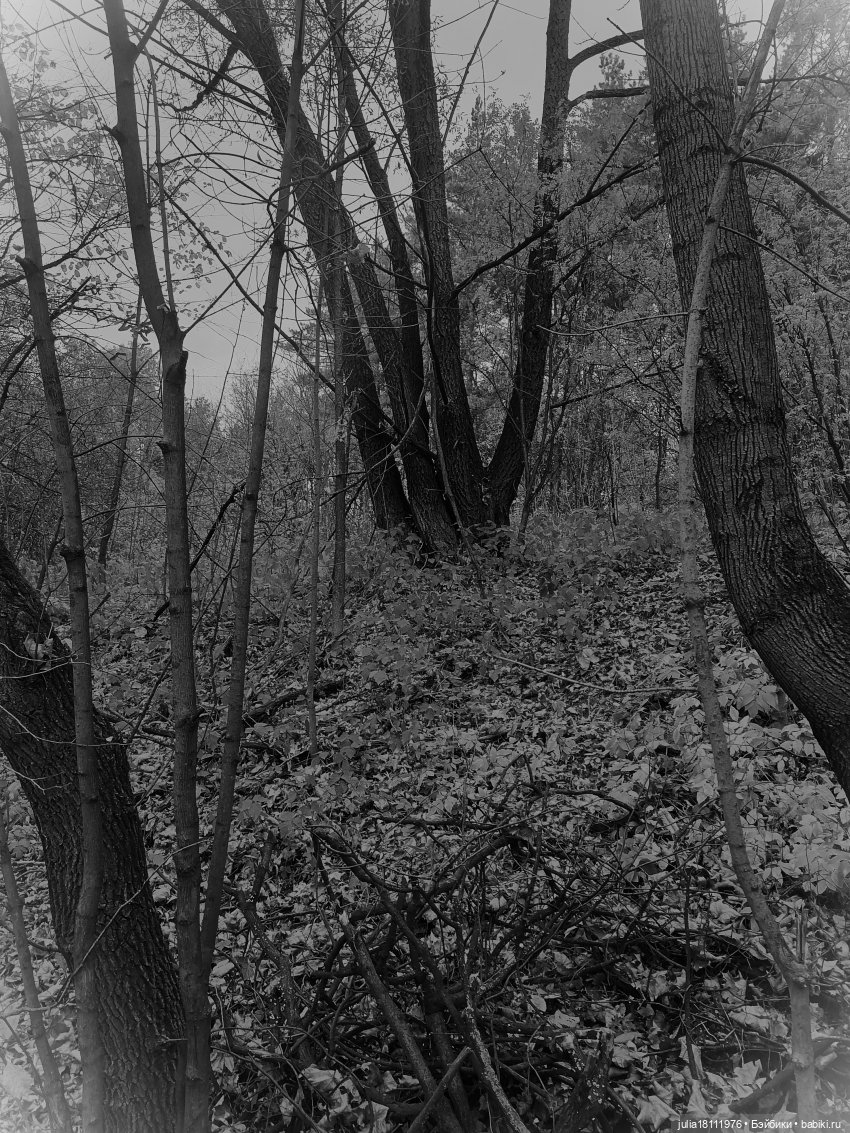 Дом кукол Лавандовый сон. Семейка "Шарнирные разные". "Девочка, которая..."