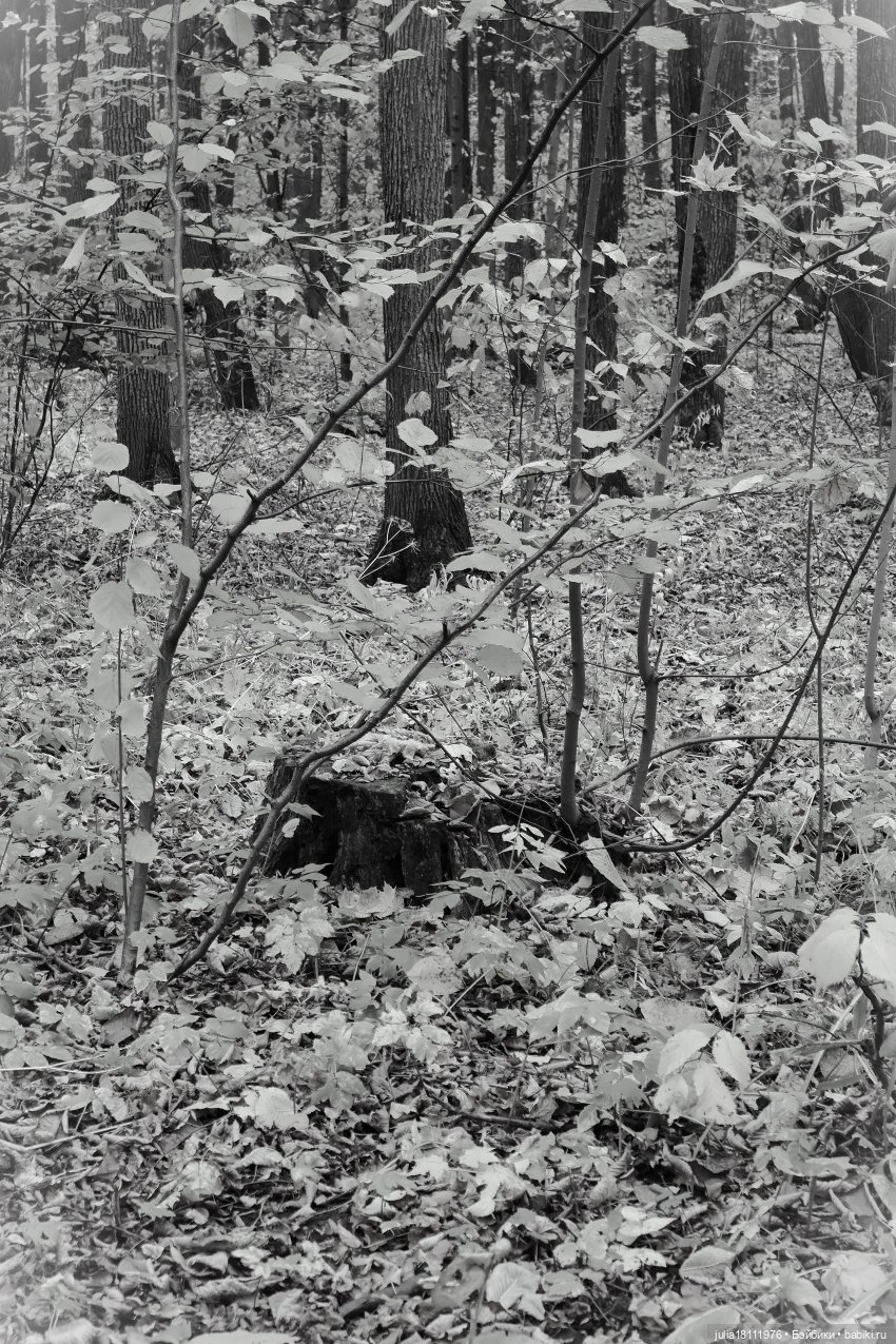 Дом кукол Лавандовый сон. Семейка "Шарнирные разные". "Девочка, которая..."