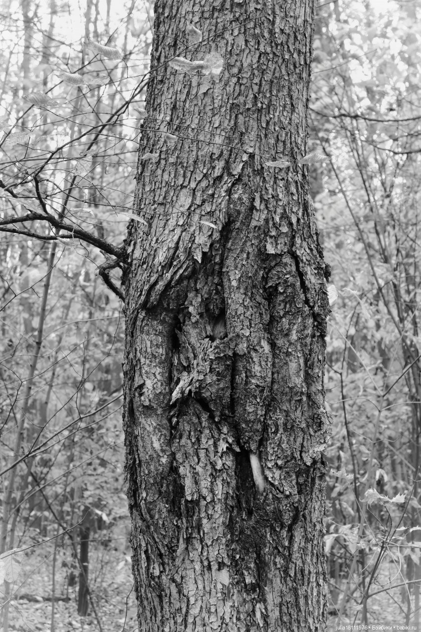 Дом кукол Лавандовый сон. Семейка "Шарнирные разные". "Девочка, которая..."