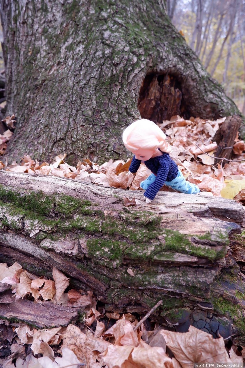 Дом кукол Лавандовый сон. Семейка "Шарнирные разные". "Девочка, которая..." (фото 10)