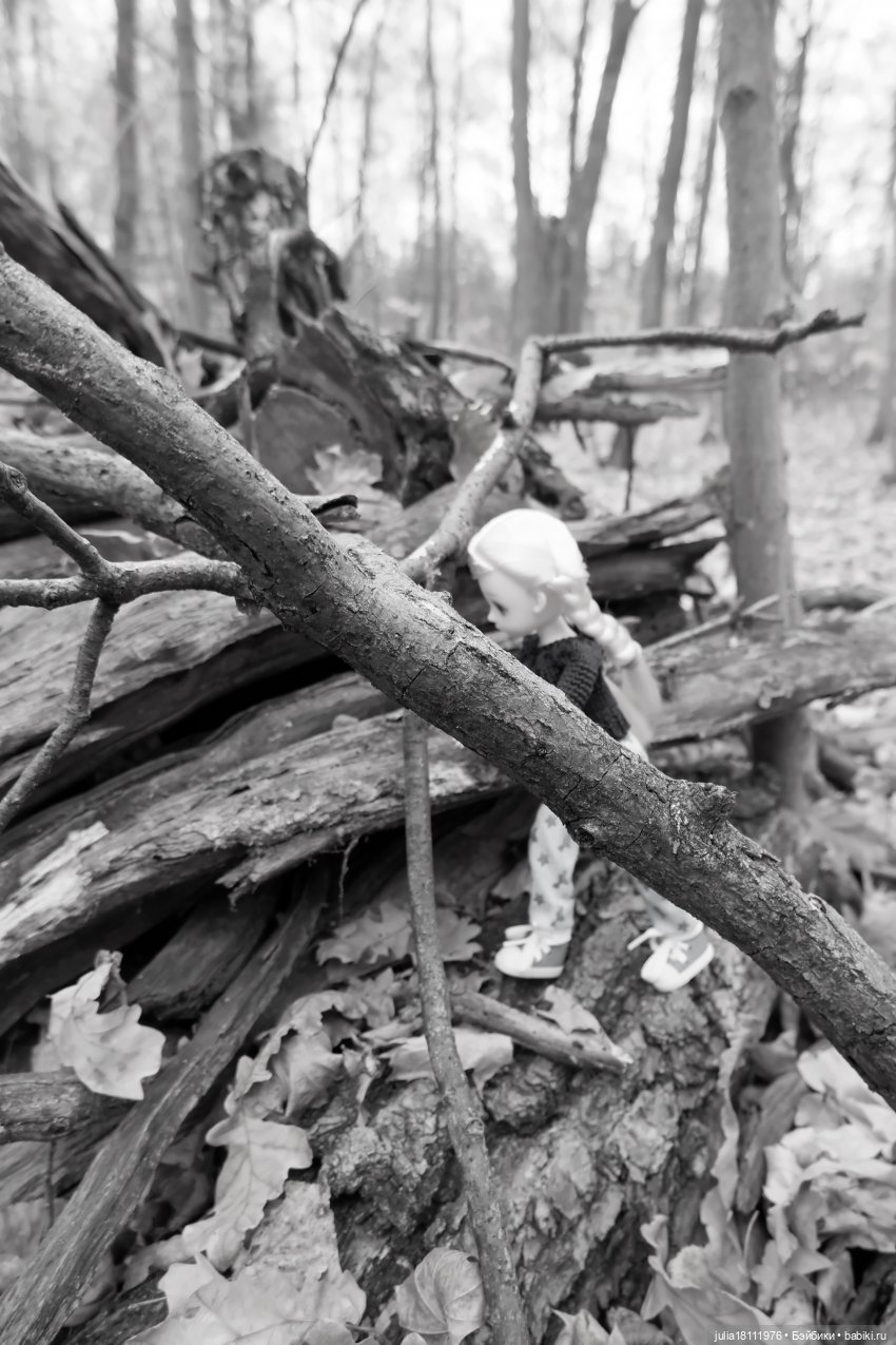 Дом кукол Лавандовый сон. Семейка "Шарнирные разные". "Девочка, которая..."