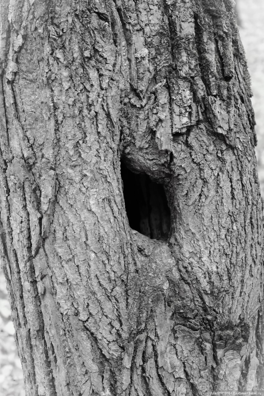 Дом кукол Лавандовый сон. Семейка "Шарнирные разные". "Девочка, которая..."