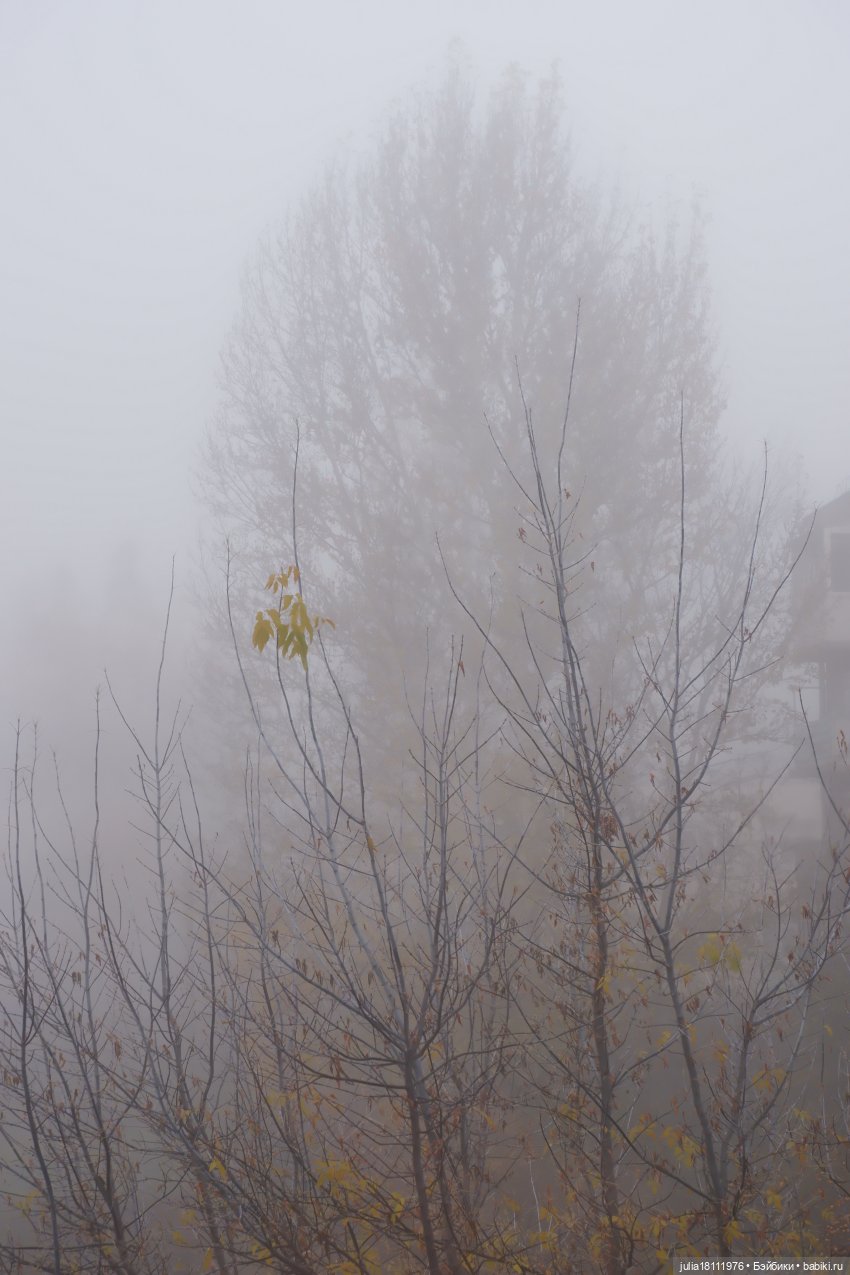 Дом кукол Лавандовый сон. Паулина (фото 9)