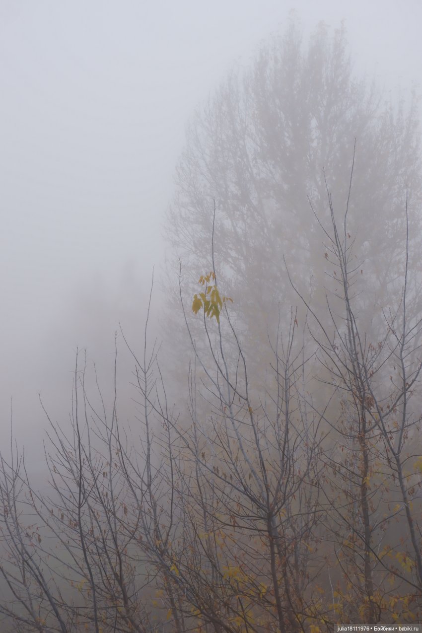 Дом кукол Лавандовый сон. Паулина