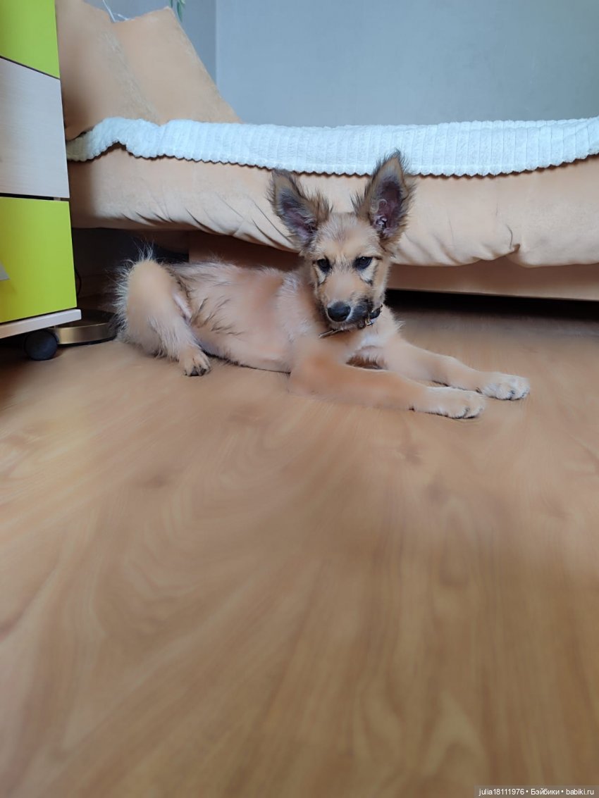 Дом кукол Лавандовый сон. 2025. Итоги (фото 9)